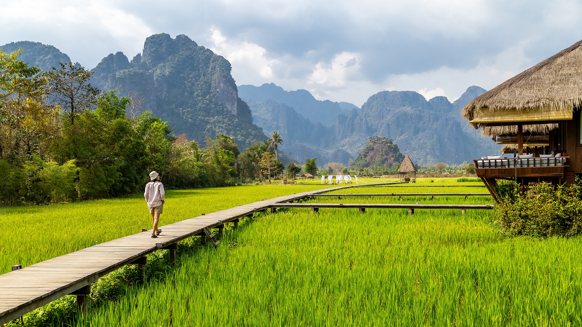 scenic view of rice paddies and limestone karsts in the Vang Vieng region of Laos