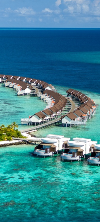 Trout Hall Grapefruit Segments In Fruit Juice 540g | Approved Food Australia