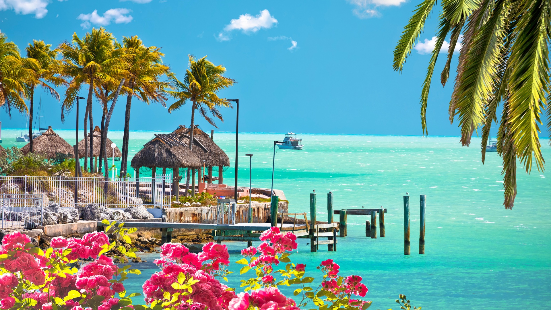 Scenic tropical pier lined with palm trees