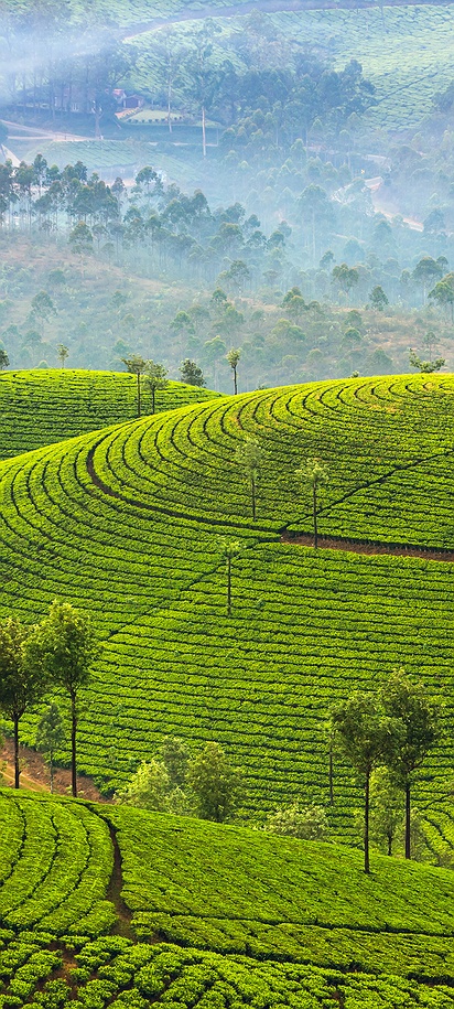Hill station in Kerala, India