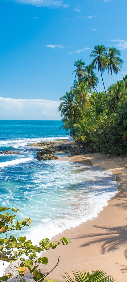 Scenic view of a beach in Costa Rica
