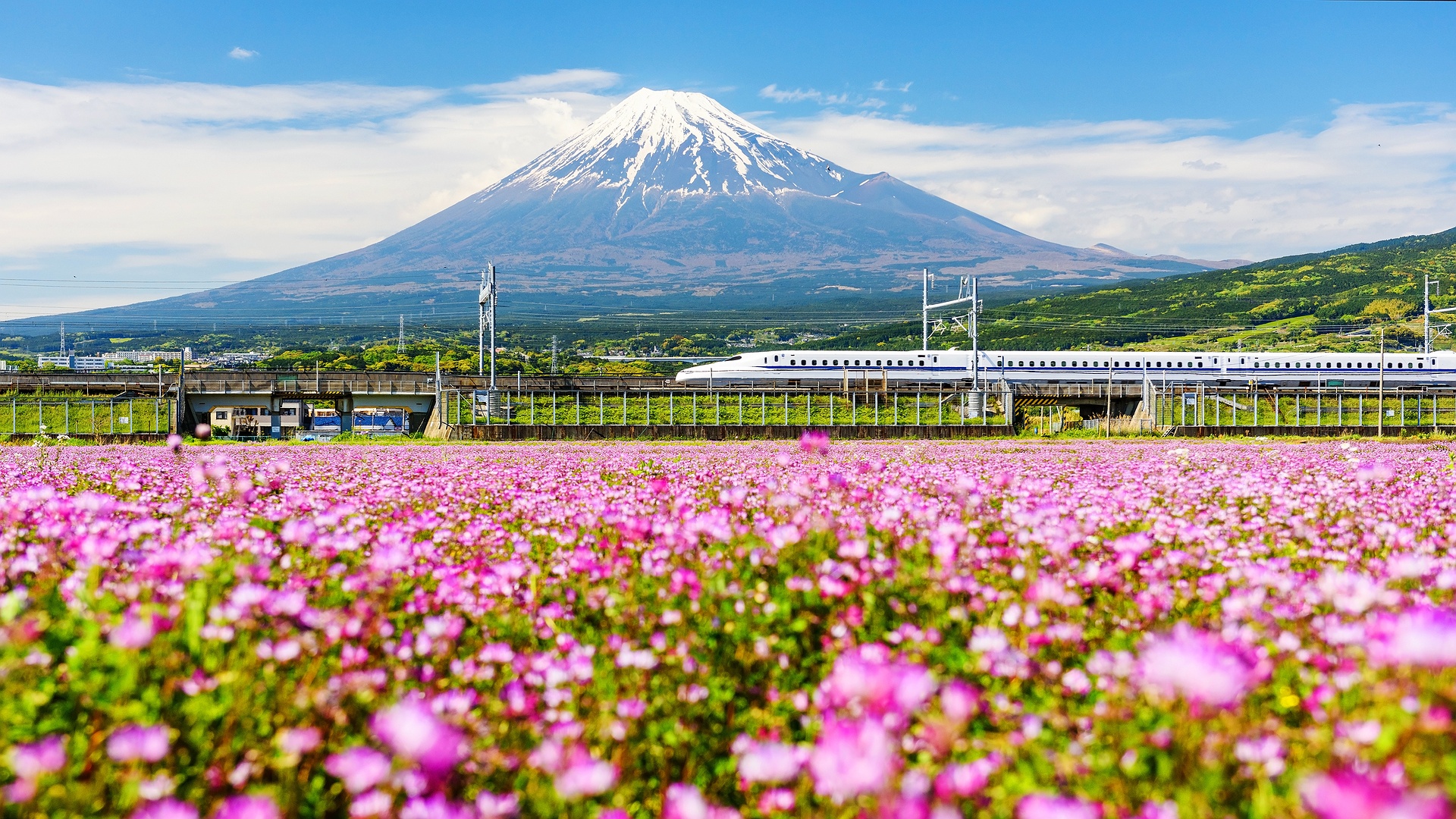 Mount Fuji in Japan