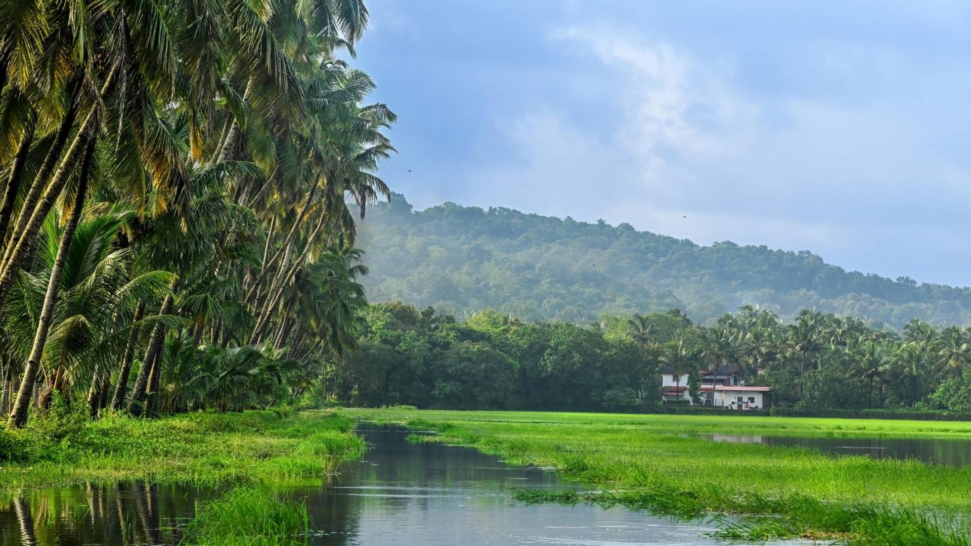 a tranquil scene in the countryside of Kerala, India