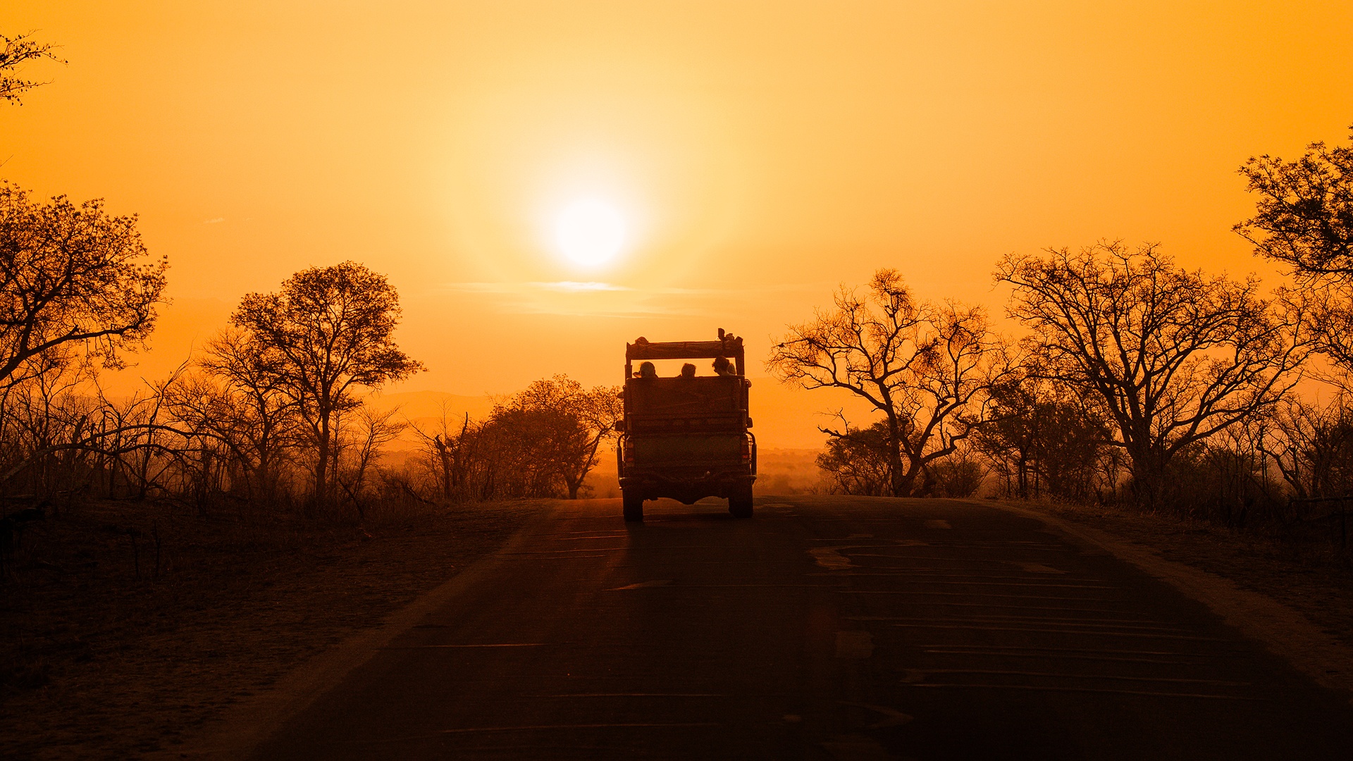 Safari scene in Kruger National Park