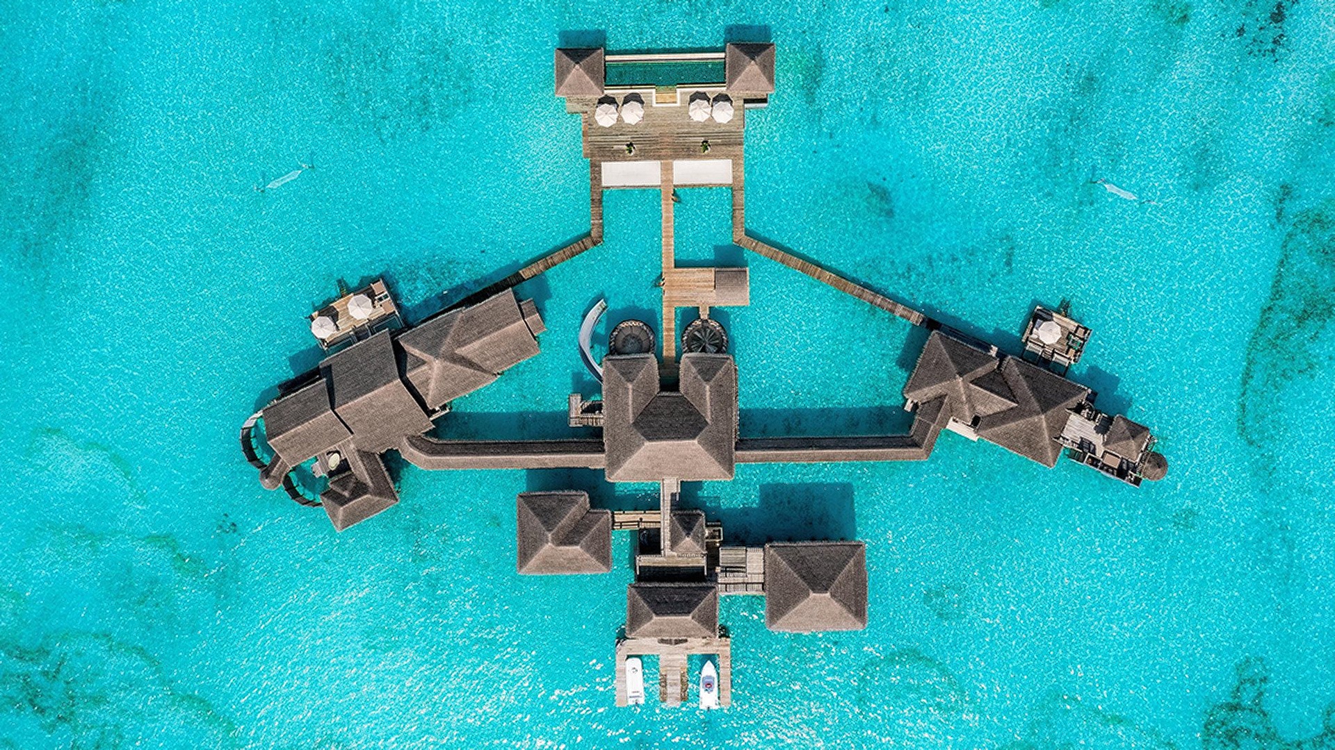 Aerial view of Gili Lankanfushi Maldives