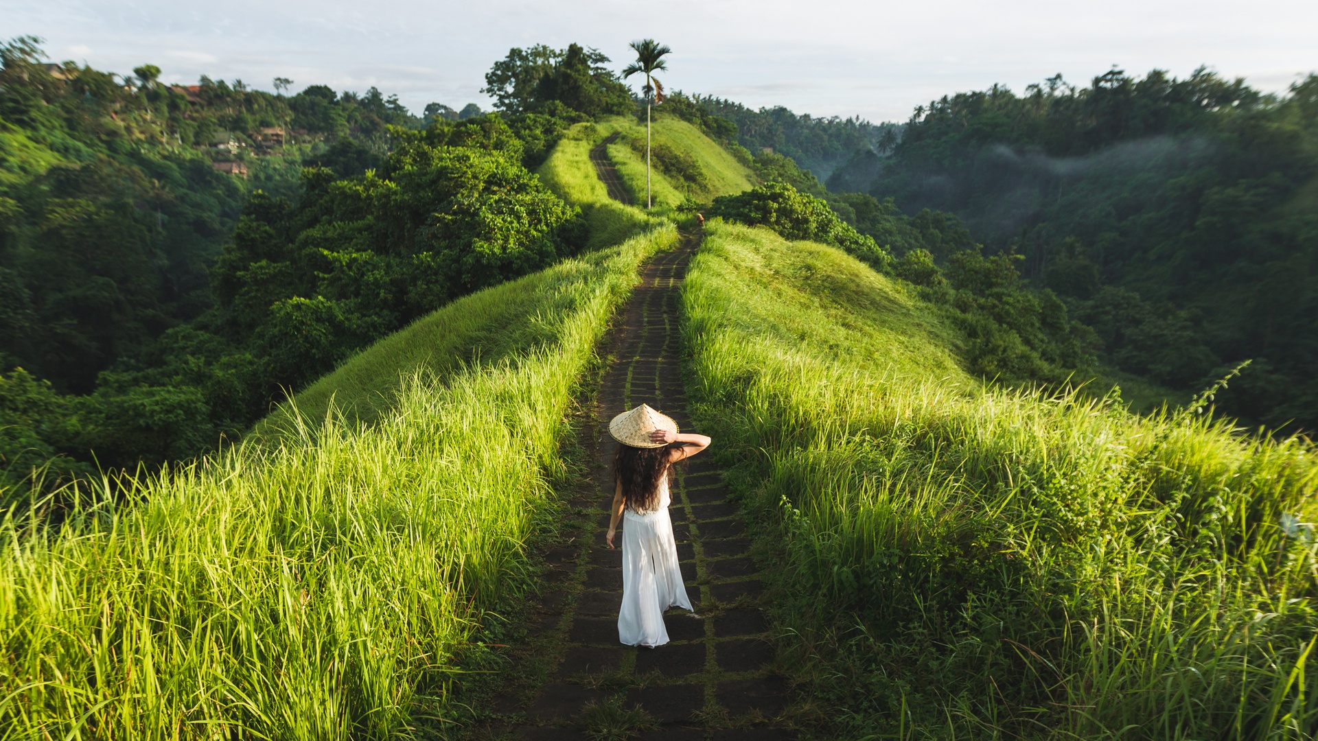 Campuhan Ridge Walk in Ubud, Bali, Indonesia