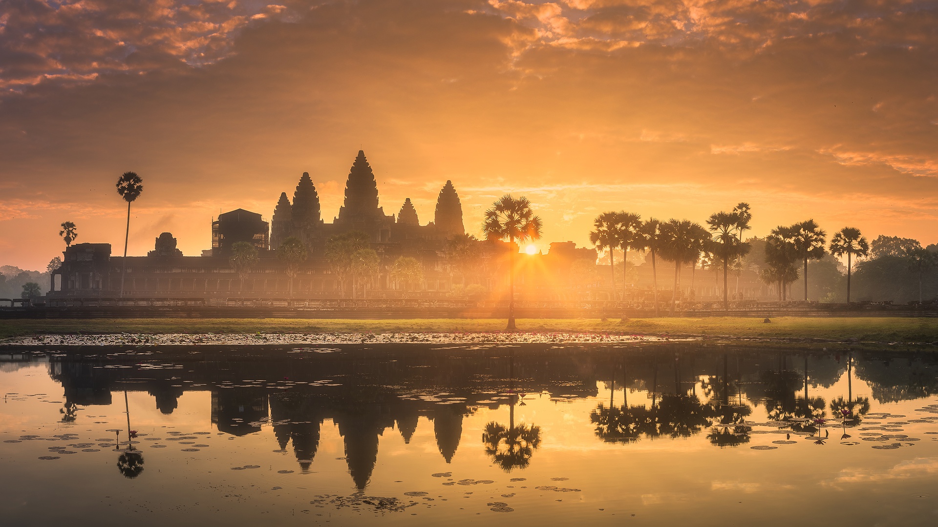 sunrise view of the Angkor Wat temple complex in Cambodia