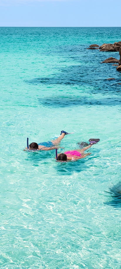 snorkeling at holiday inn resort Panama City Beach