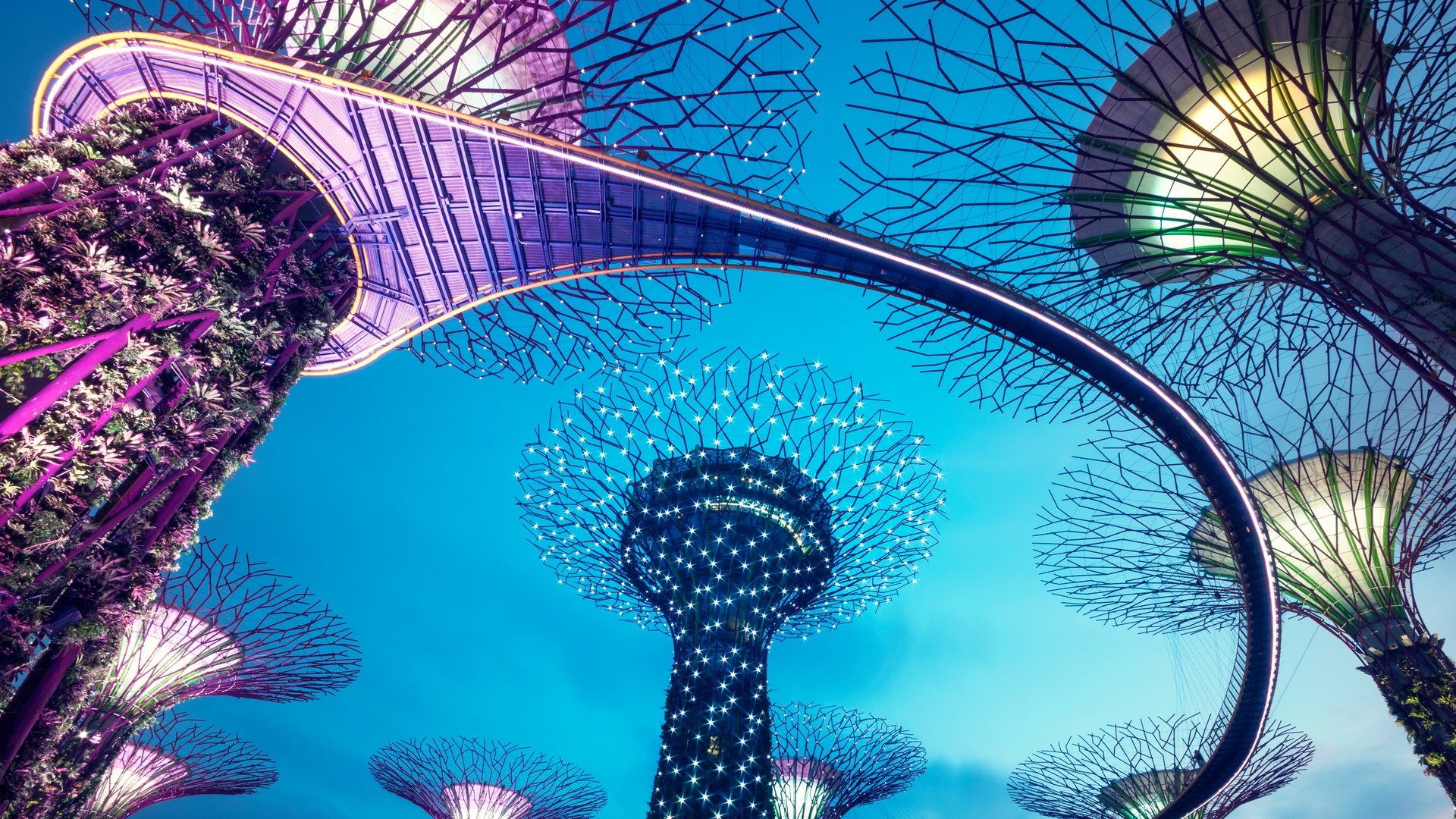 Supertree Grove at Gardens, Singapore