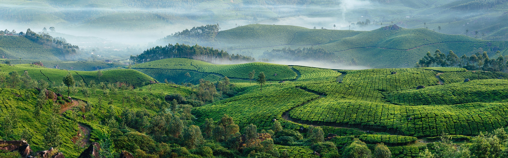 Kerala holidays