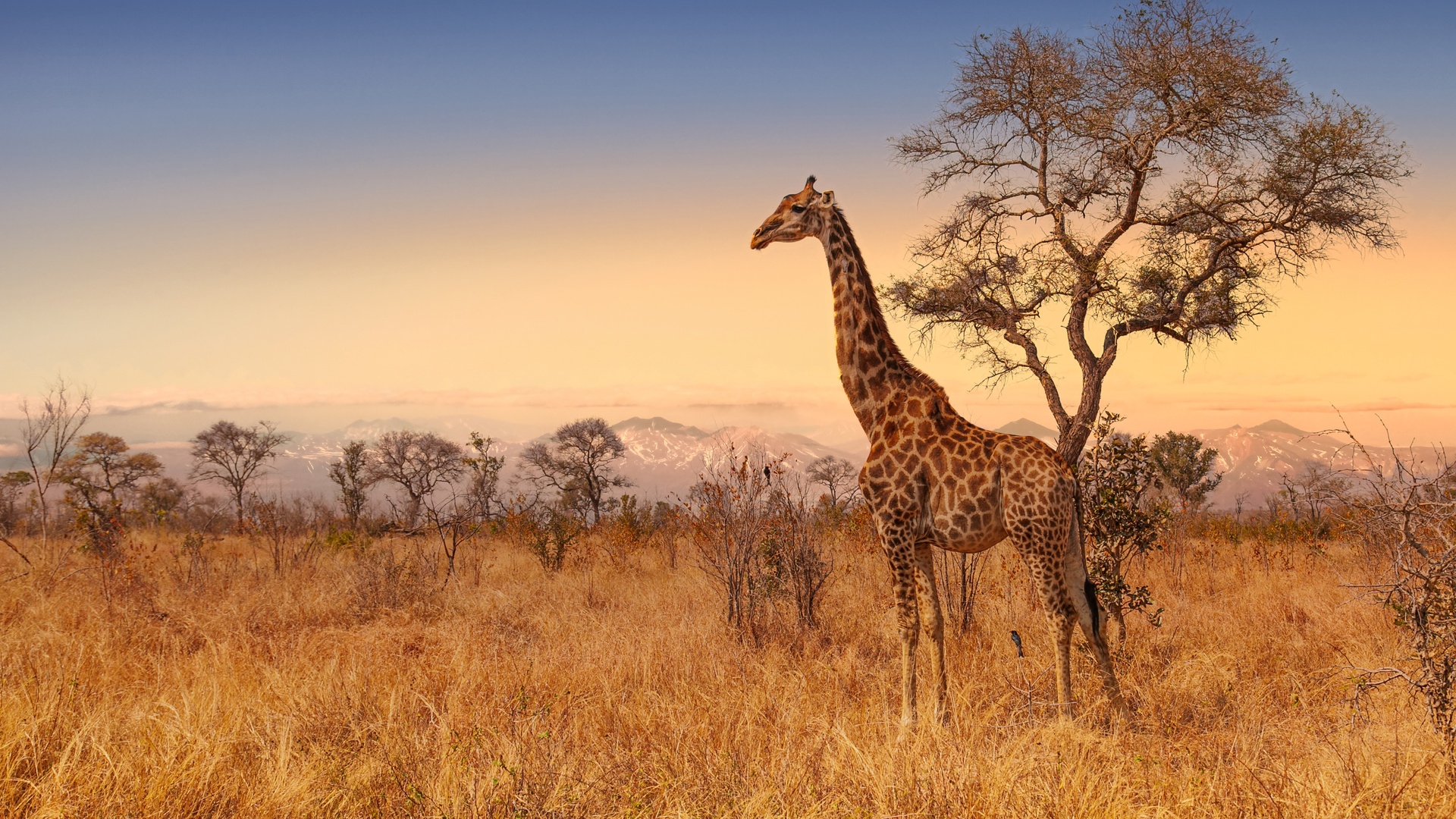 Wildlife reserve in South Africa