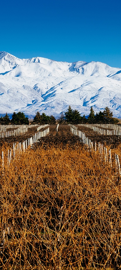 Mendoza, Argentina