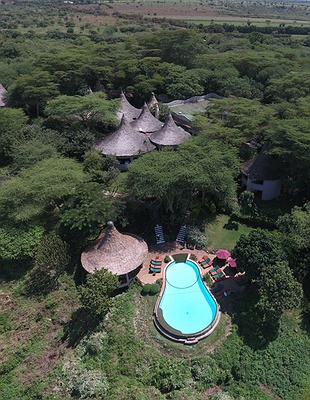 Tanzania safari