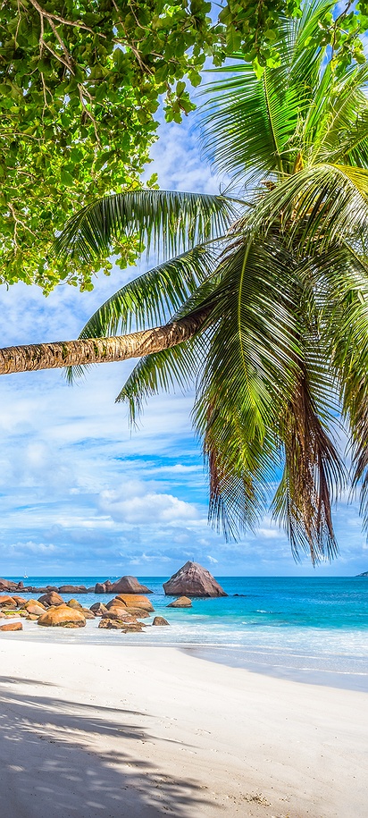 Anse Lazio beach on Praslin Island in the Seychelles, a location renowned for its natural beauty