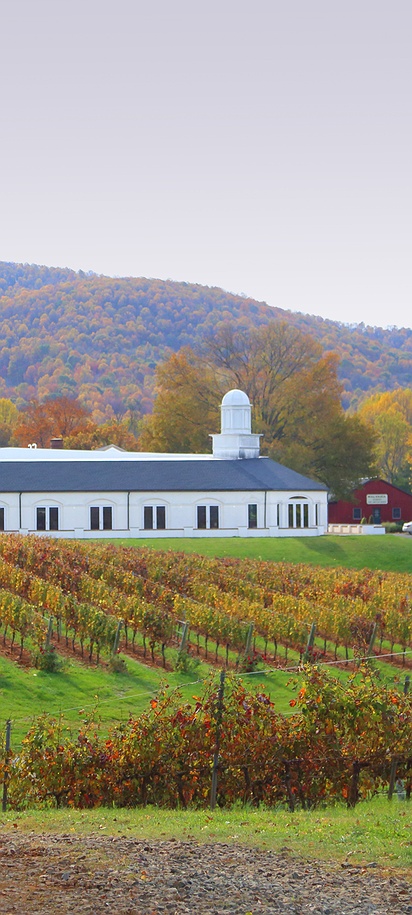 Barboursville Vineyards in Orange County, Virginia