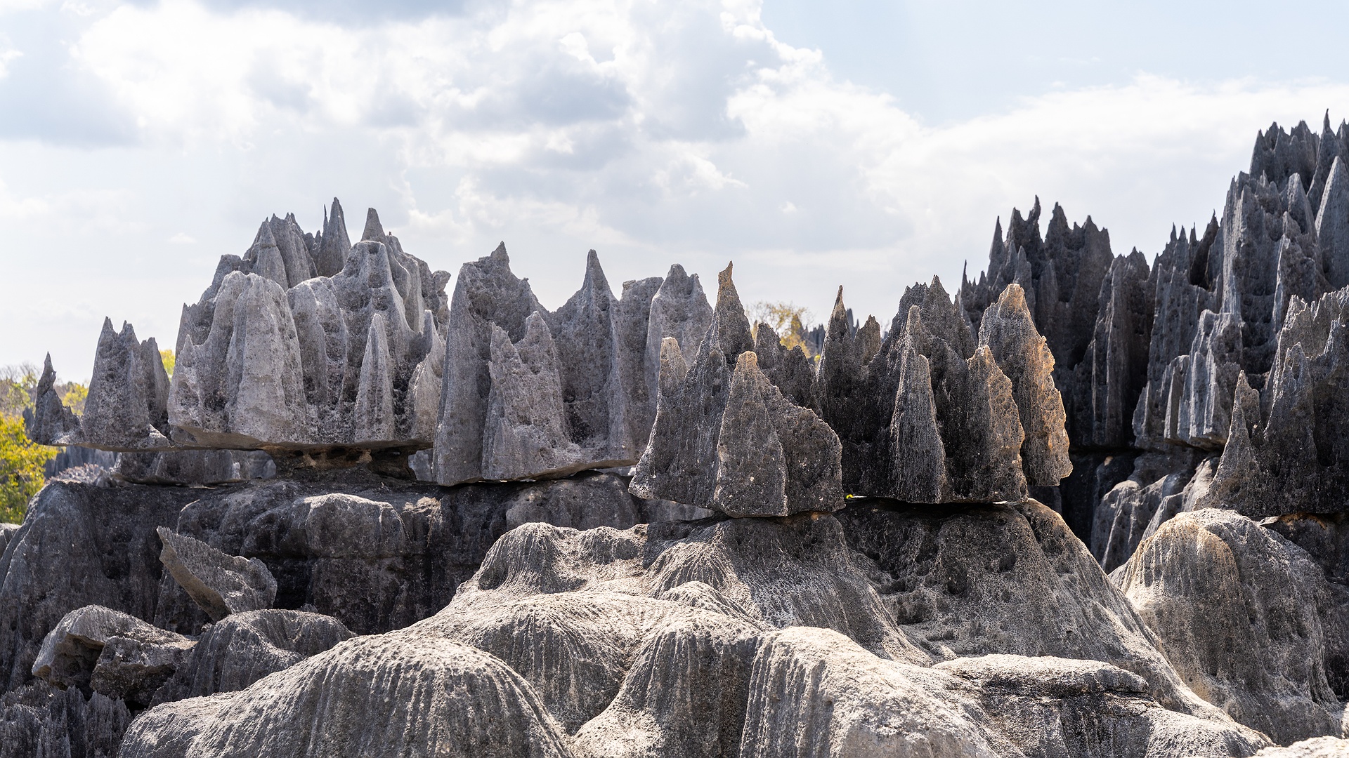 the Tsingy de Bemaraha Strict Nature Reserve in Madagascar