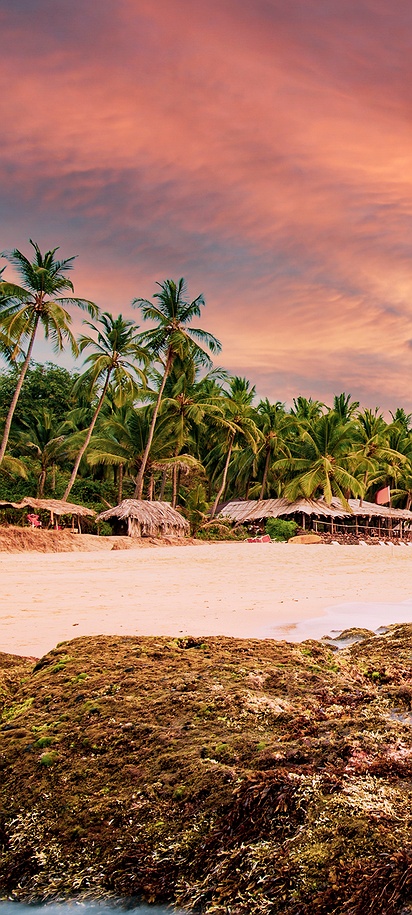 View of Marari Beach or Kovalam Beach in Kerala