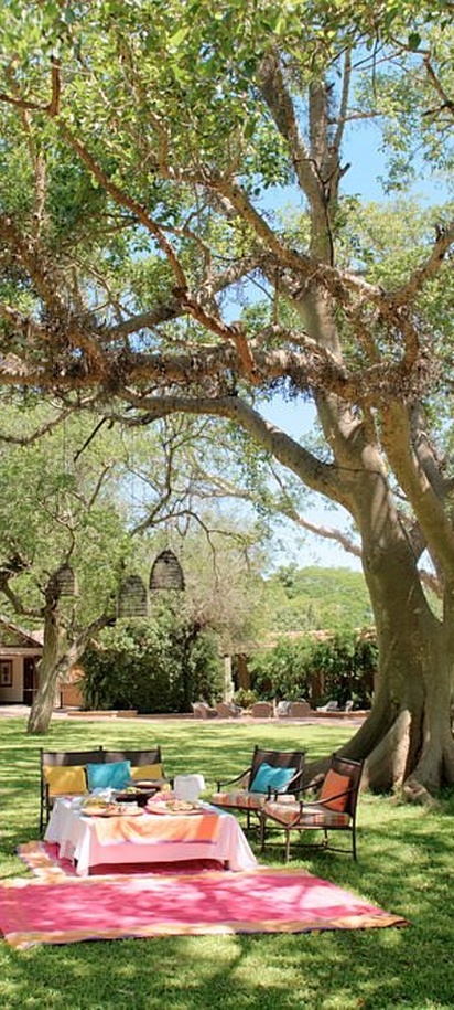 the garden of the Ghost Mountain Inn in KwaZulu-Natal, South Africa