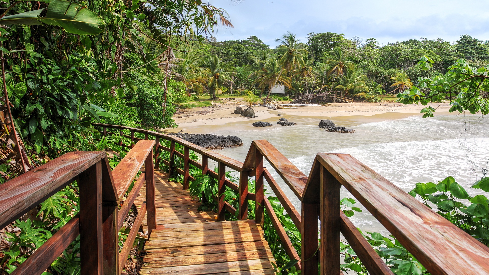 a wooden walkway leading towards Red Frog Beach on Bastimentos Island in the Bocas del Toro archipelago of Panama