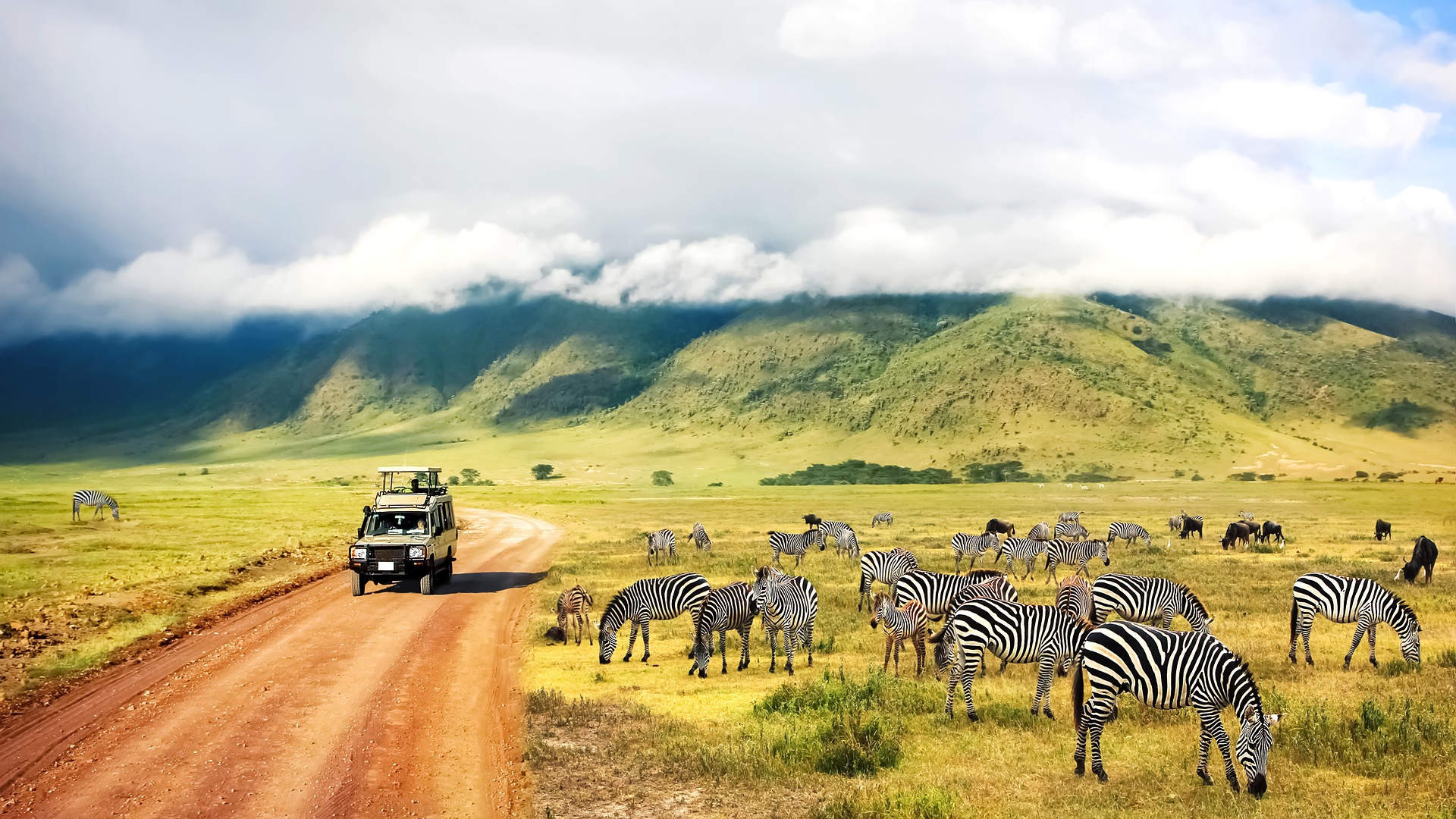 safari vehicle and a herd of zebras in Tanzania