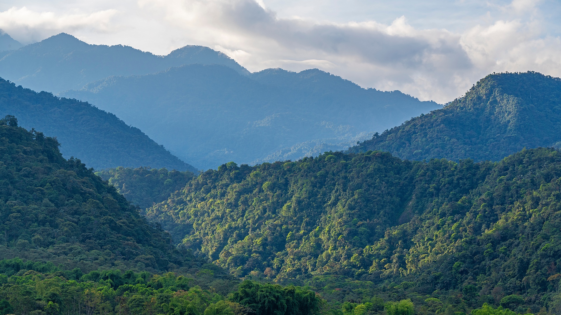 Mindo Cloud Forest in Ecuador