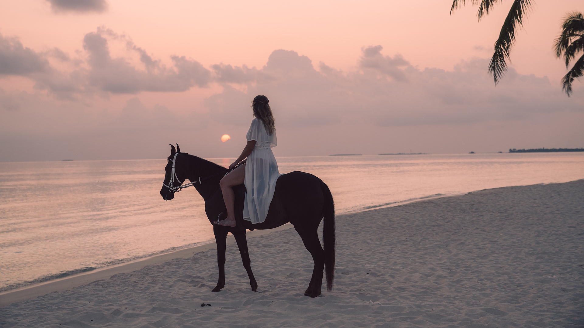 Siyam World Maldives Resort horse-riding