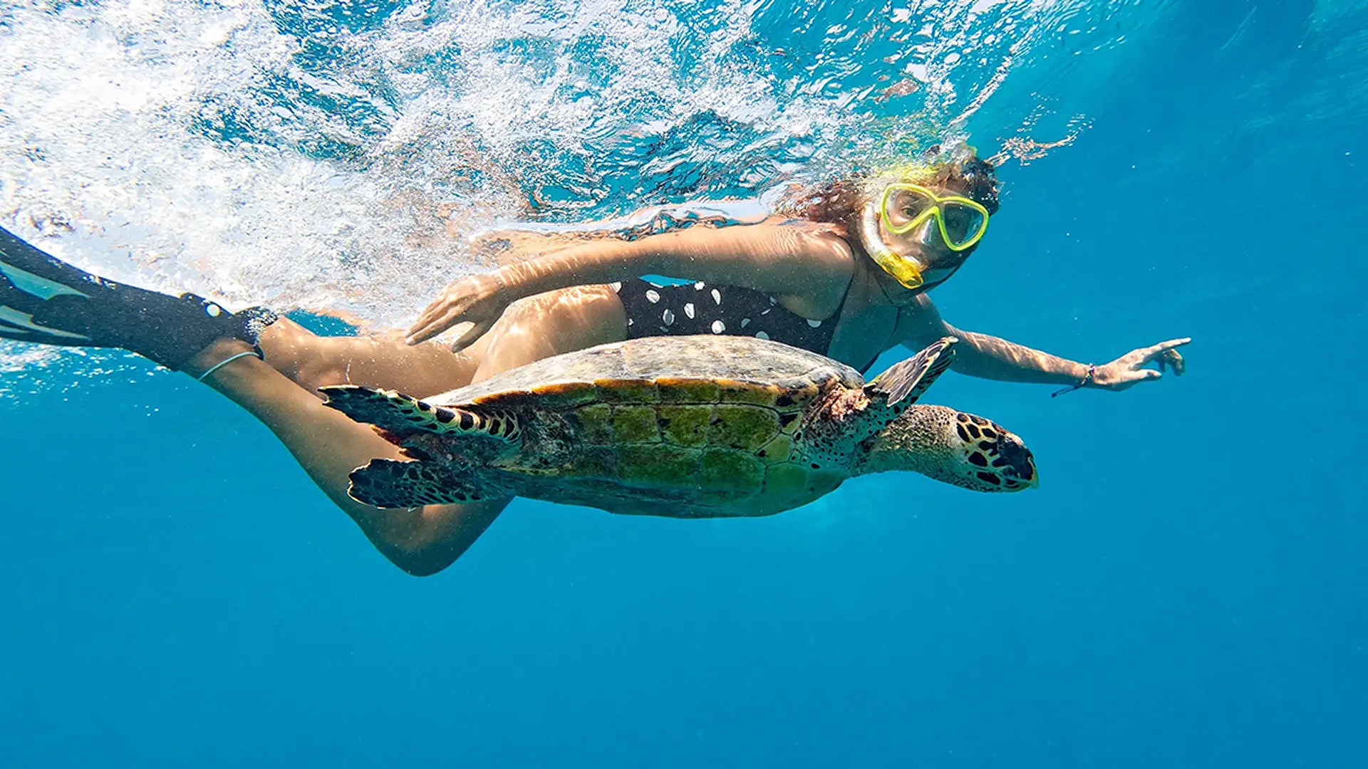 Hilton Maldives Amingiri Resort & Spa underwater