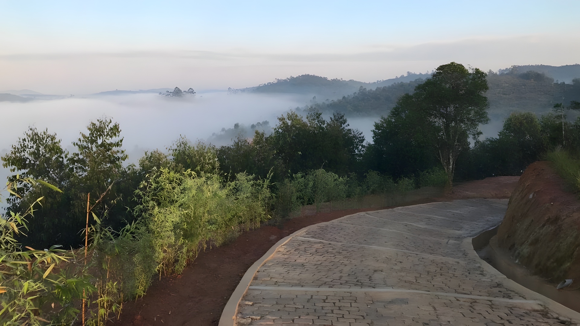 scenic view overlooking the forested hills near the Mantadia Lodge in Madagascar
