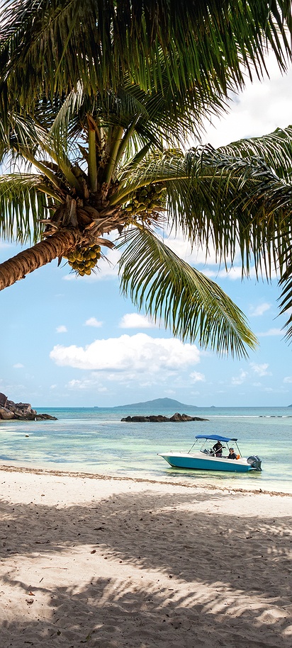 a tranquil beach scene on Curieuse Island in the Seychelles