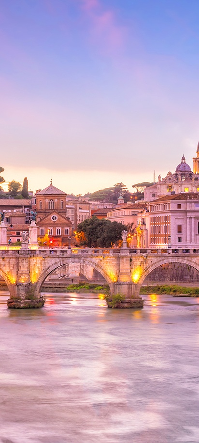 St. Peter's Basilica view