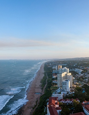 Johannesburg and Pretoria purple in South Africa