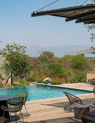 Johannesburg and Pretoria purple in South Africa