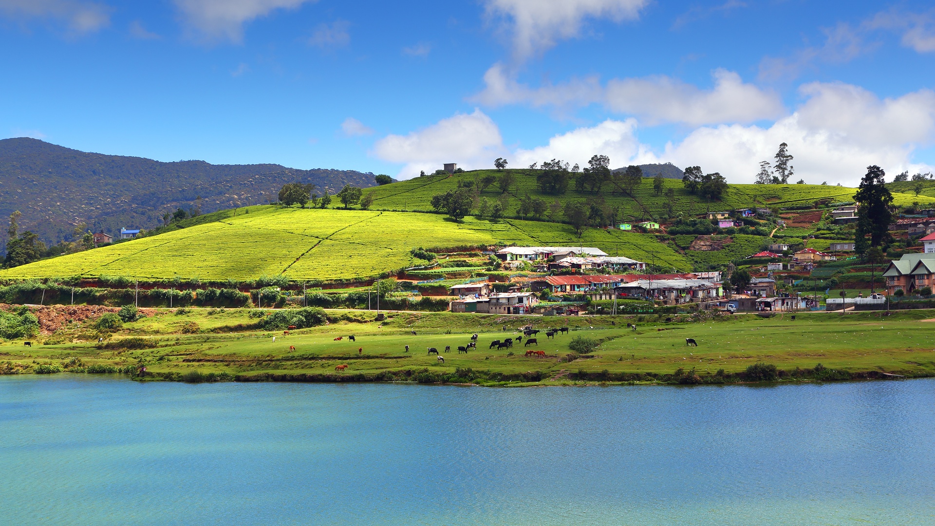 view of Gregory Lake in Nuwara Eliya, Sri Lanka