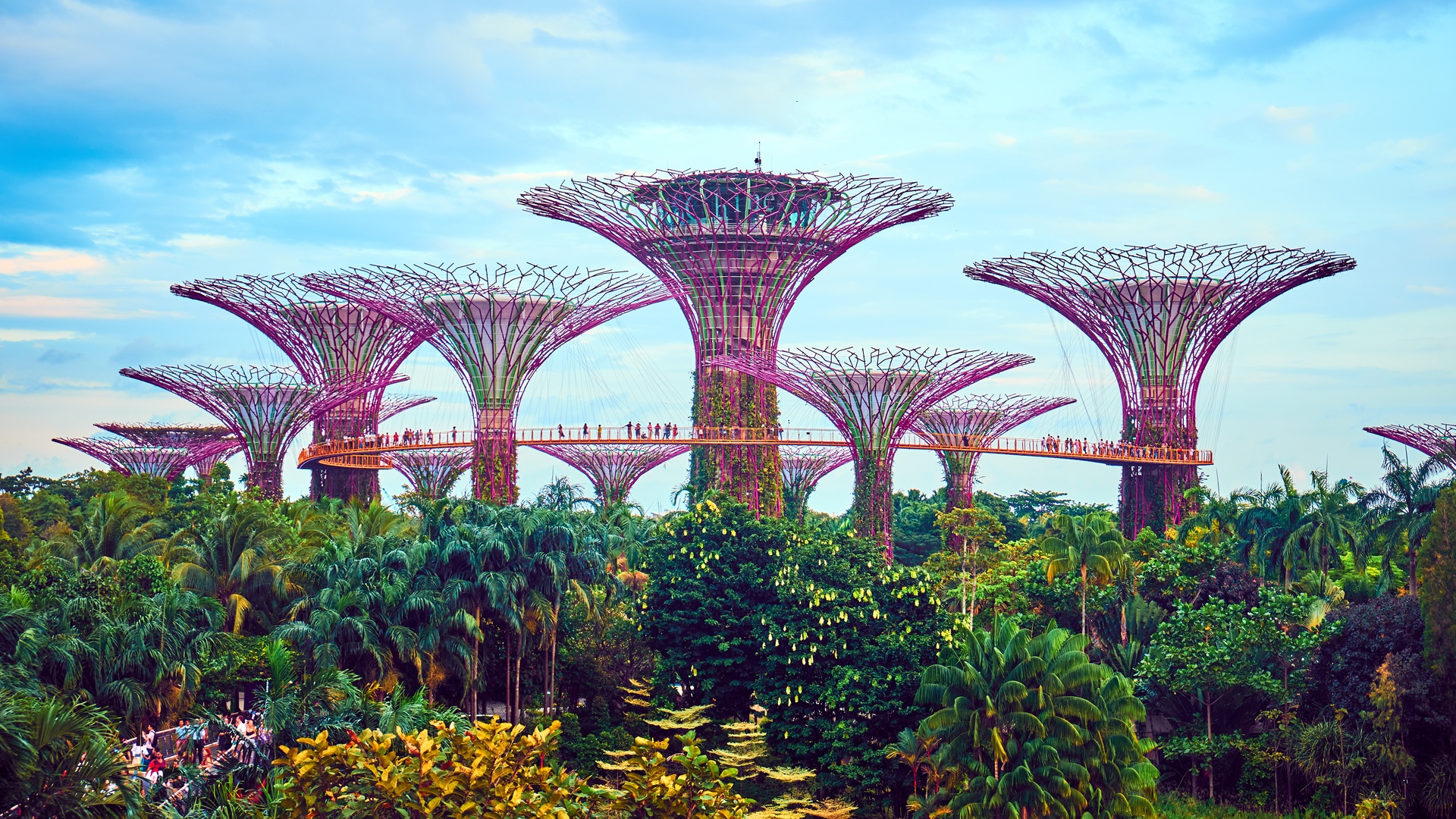 Supertree Grove at Gardens in Singapore