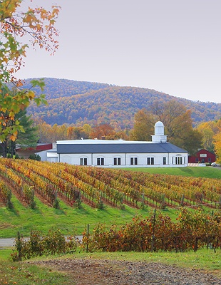 Virginia's Monticello Wine Trail