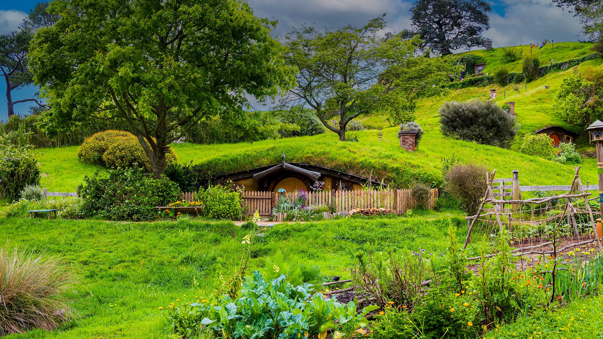 View of Hobbiton Movie Set in New Zealand