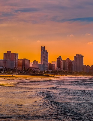 Johannesburg and Pretoria purple in South Africa