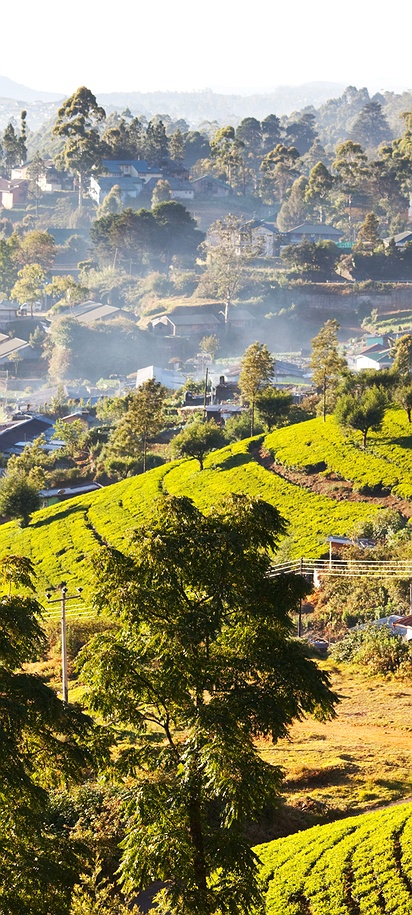 Nuwara Eliya, Sri Lanka