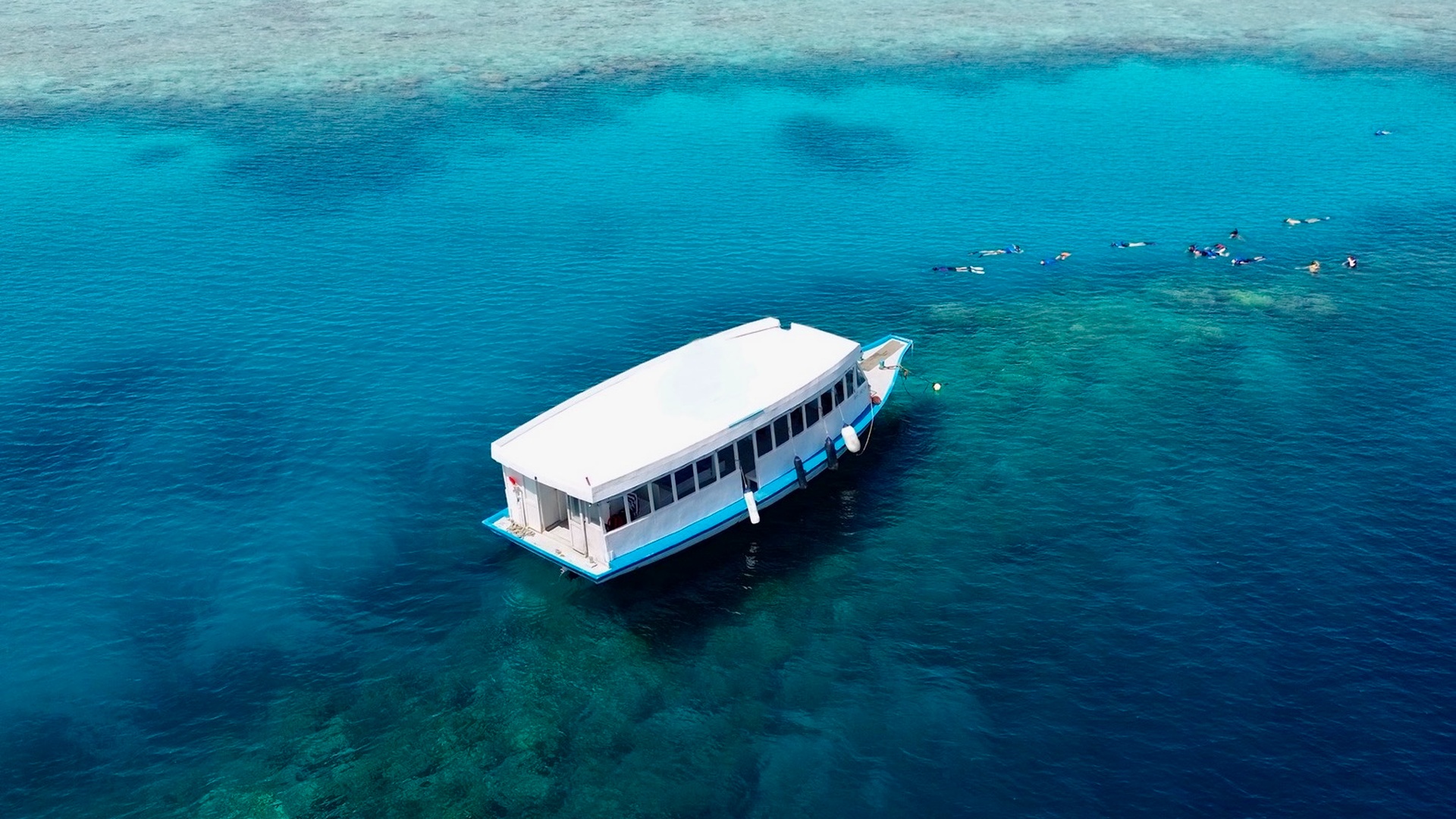 boat traveling across the turquoise waters of the Maldives