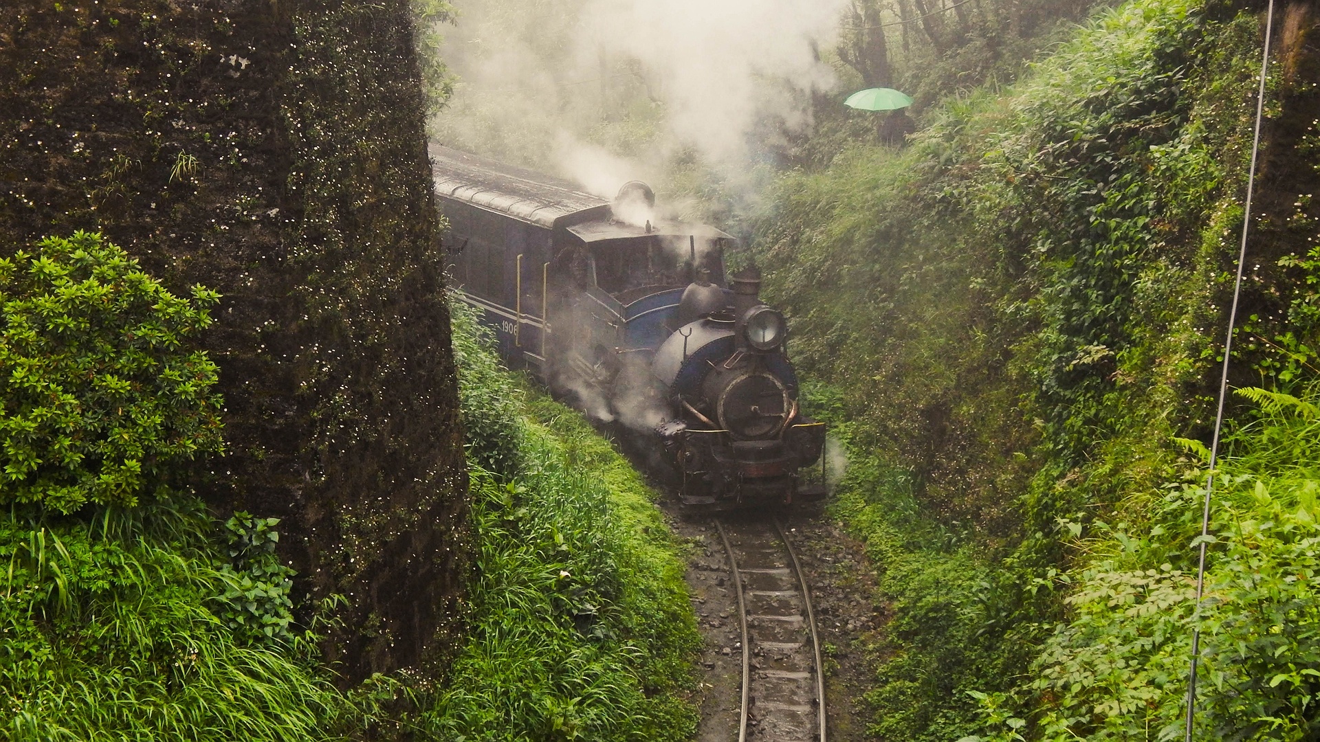 Toy Train - Darjeeling Himalayan Railway