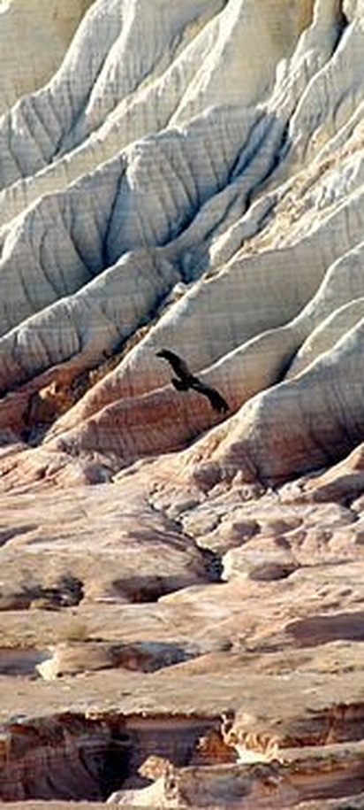 Central Asian "Stans": Kazakhstan, Kyrgyzstan, Tajikistan, Turkmenistan, and Uzbekistan image 9