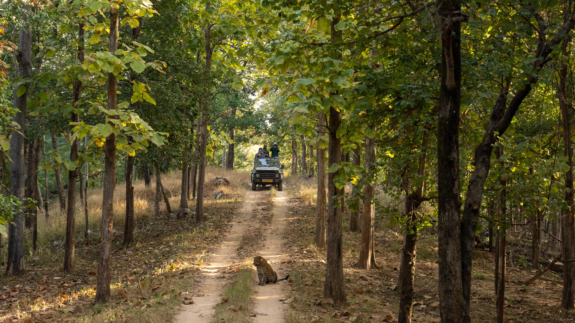 Jeep safari in India