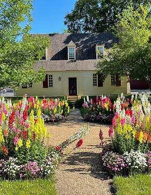Virginia's Monticello Wine Trail