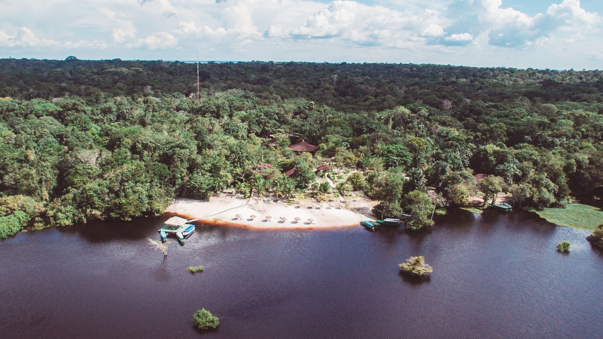 a scenic view of a riverbank at the Amazon Ecopark Jungle Lodge located near Manaus, Brazil
