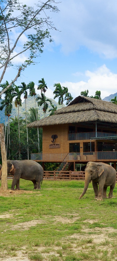 Elephant Hill in Khao Sok National Park, Thailand