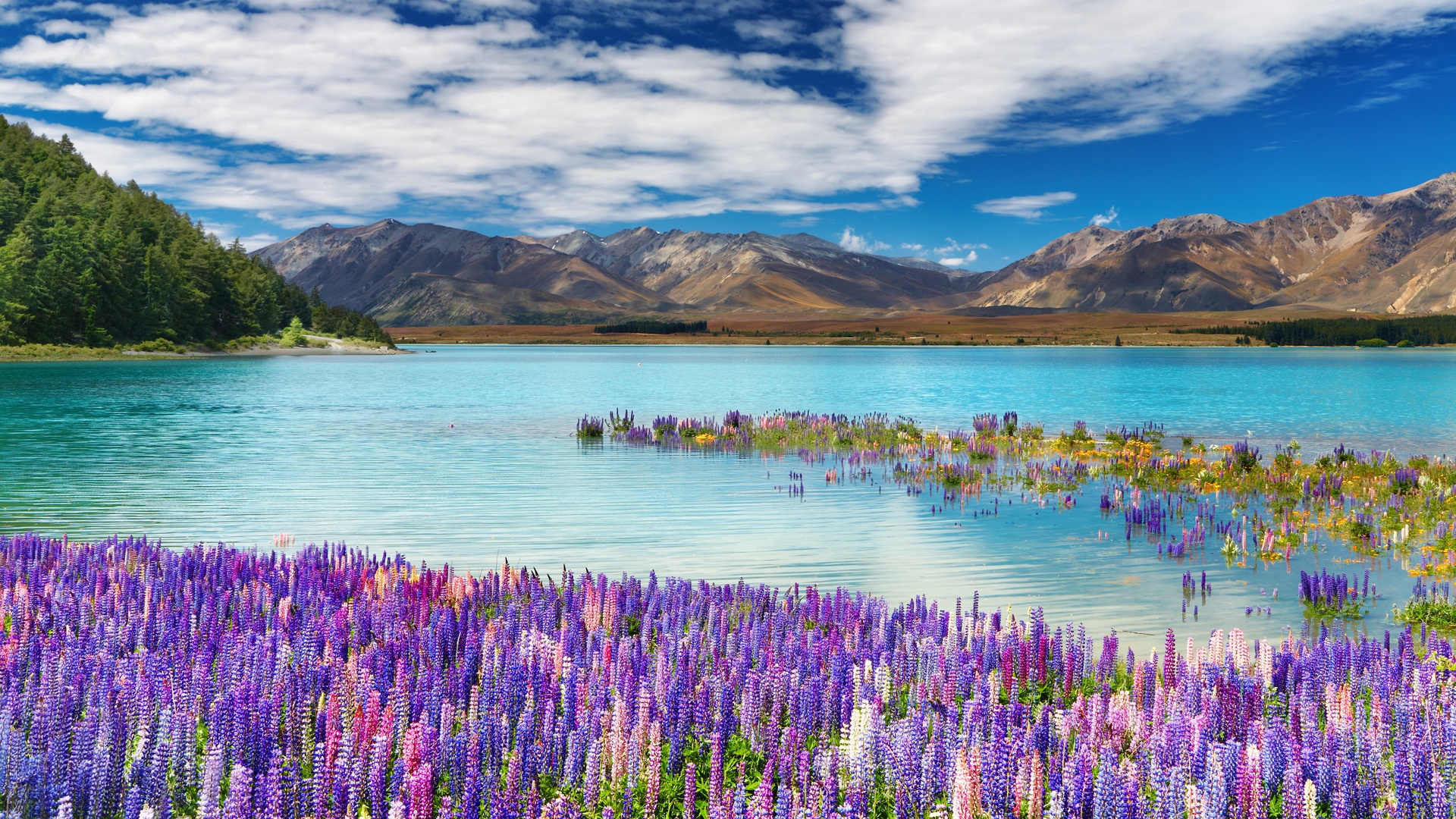 Lake Tekapo in New Zealand