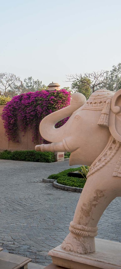 Icons & Hidden Treasures of North India image 21