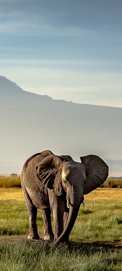 Amboseli National Park in Kenya