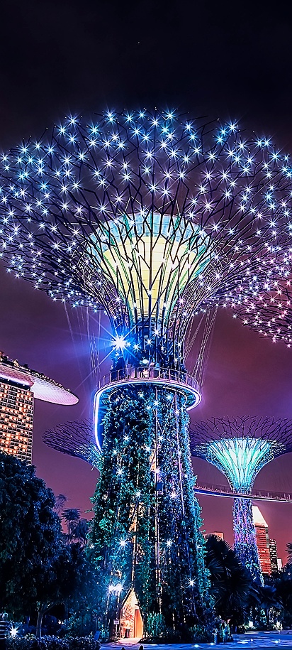 Iconic Supertree Grove at Gardens by the Bay in Singapore