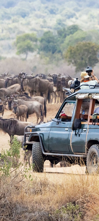 Safari at Masai mara park